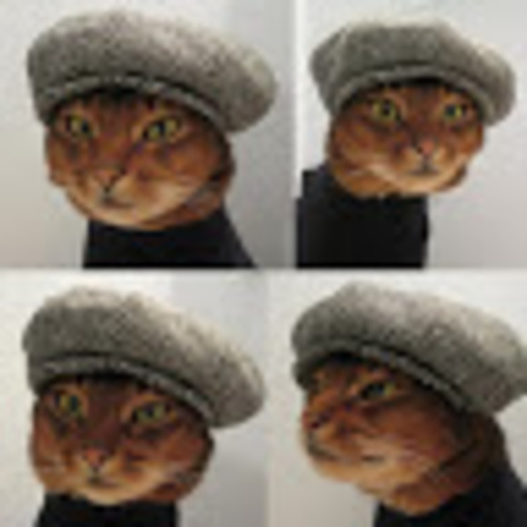 Meet your Posher, Cassnatjim3 - Picture 1 of 1